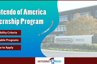 Nintendo Internship