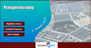Pentagon Internship
