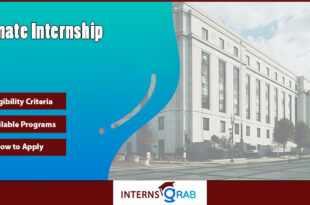 Senate Internship